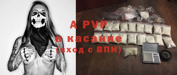 молекула духа Новозыбков