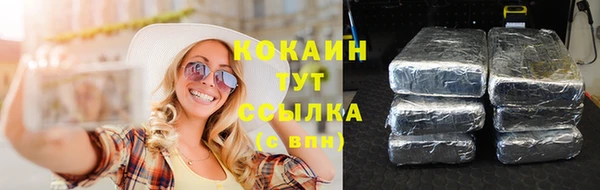прущие грибы Нязепетровск