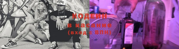 прущие грибы Нязепетровск