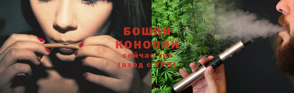 прущие грибы Нязепетровск