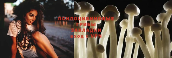 амф Новодвинск