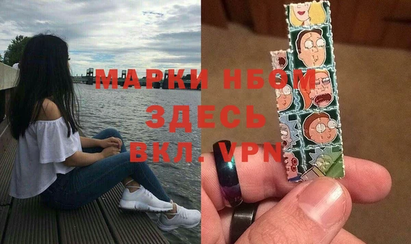 амф Новодвинск