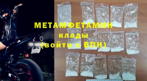 молекула духа Новозыбков
