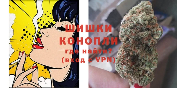 прущие грибы Нязепетровск