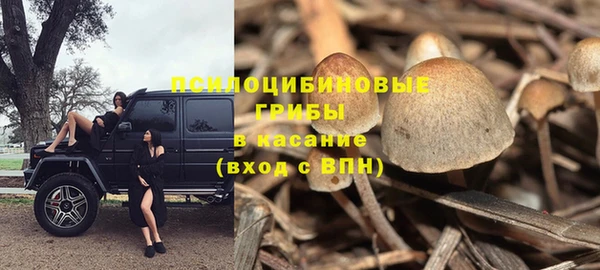 молекула духа Новозыбков