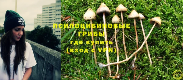 mdpv Новокубанск