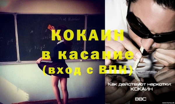 молекула духа Новозыбков