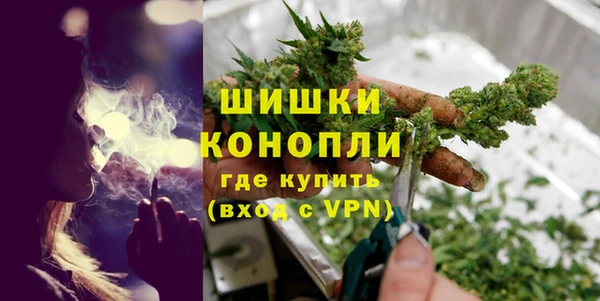 прущие грибы Нязепетровск